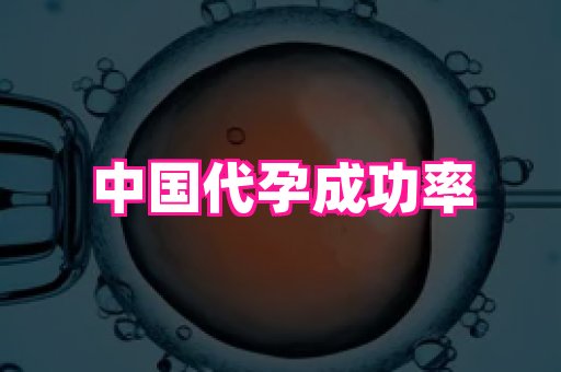 权威助孕网 1