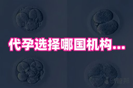 权威助孕网 3
